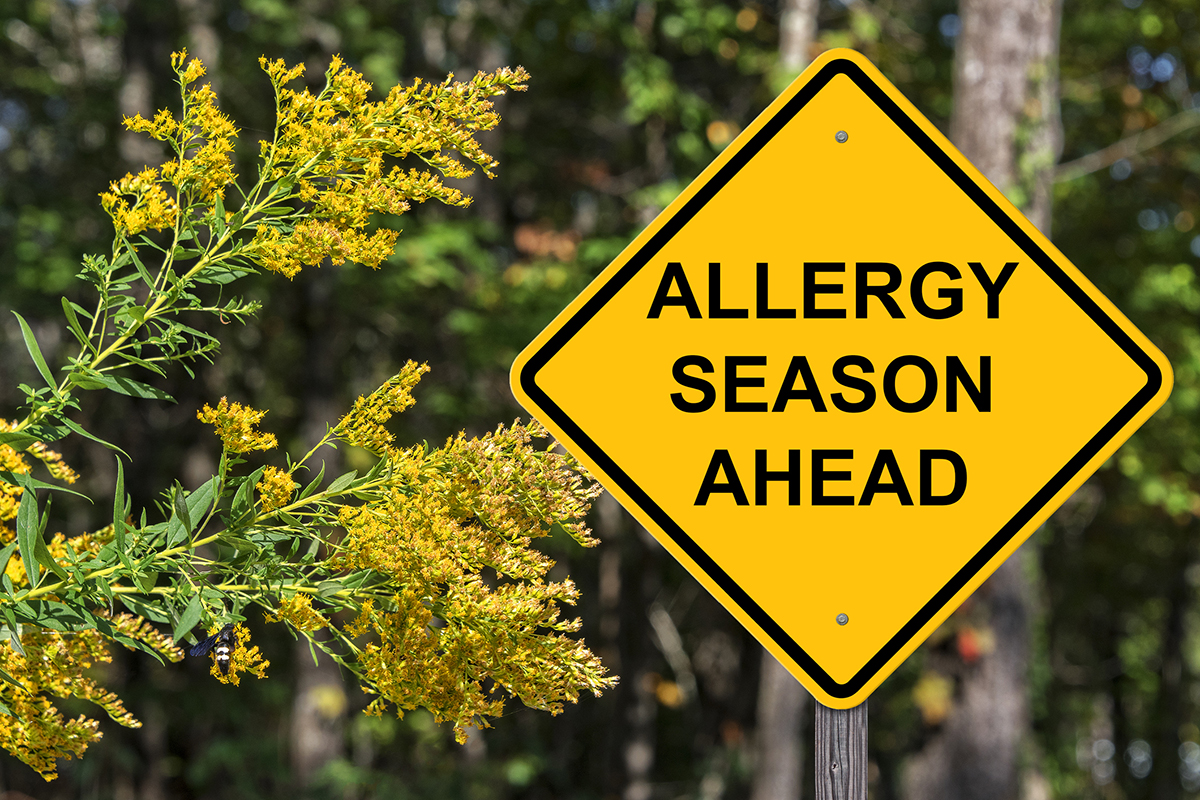 10-tips-for-surviving-allergy-season-dr-ronald-hoffman