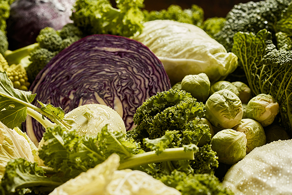 Full frame background of various types of fresh cabbages on counter of grocery bazaar