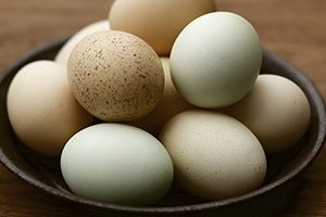 are eggs bad for you?