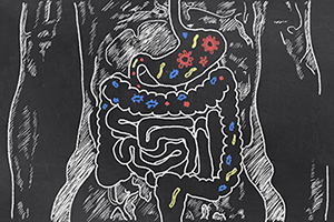 All disease begins in the gut