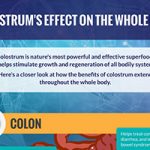 What Are Colostrum's Effects on the Whole Body?
