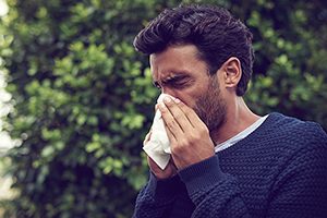 Molds, mites and pollens: Common causes of allergic fatigue