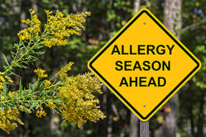 10 tips for surviving allergy season