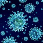 A comprehensive look at your immune health