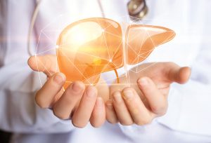 Essential Detox: The importance of a healthy liver