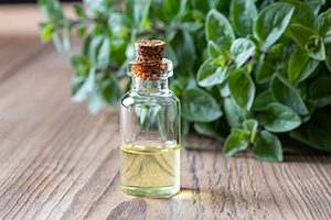 Keep Wild Oil of Oregano on Hand This Holiday Season