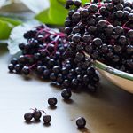 Adding elderberry to your health routine is a smart move