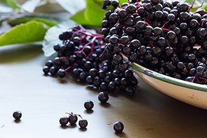 Adding elderberry to your health routine is a smart move