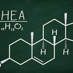 How important is DHEA to health?