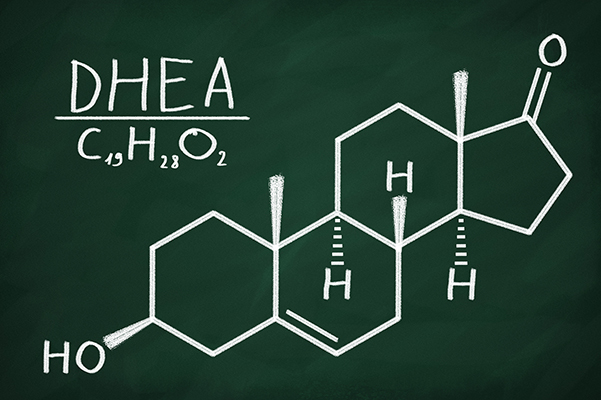 How important is DHEA to health?