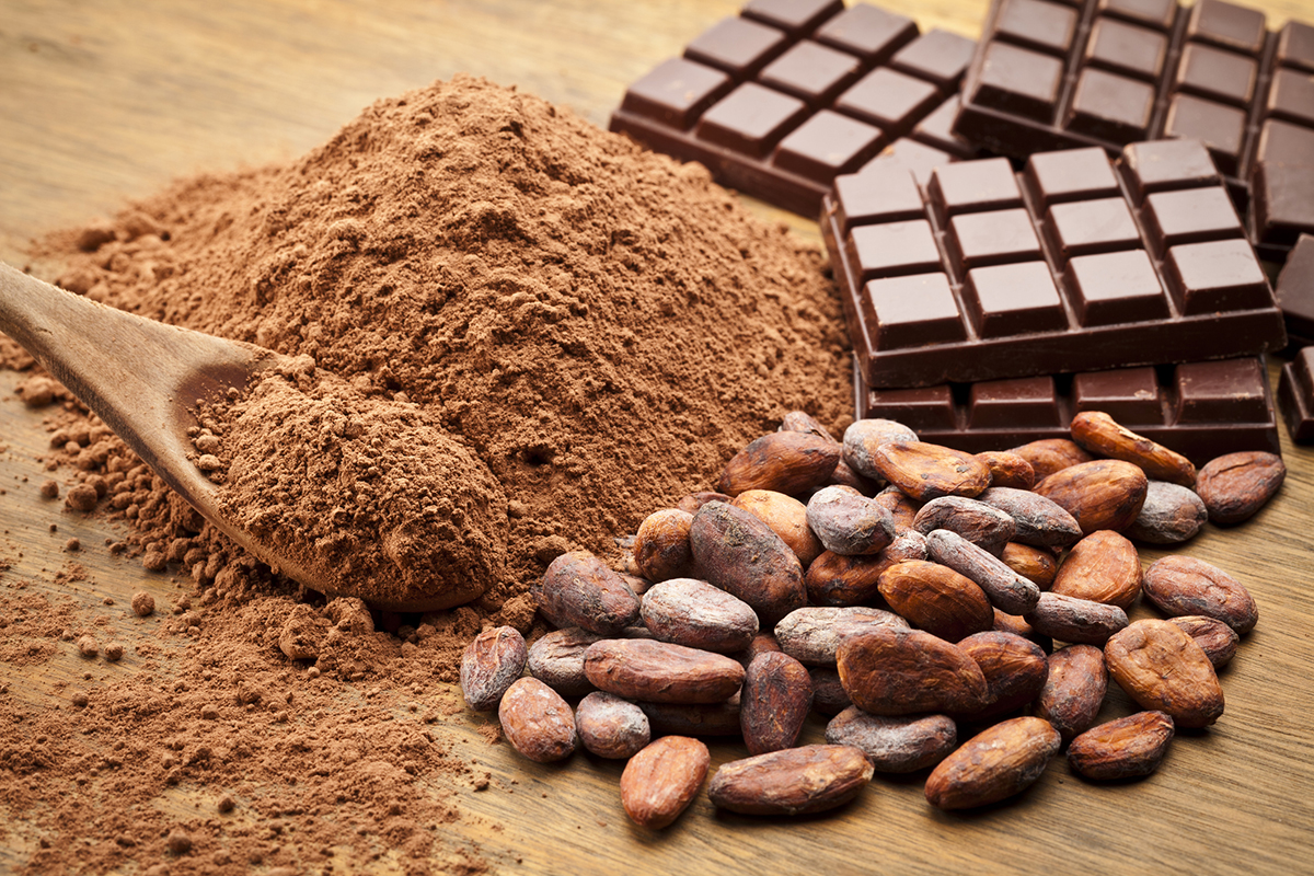 Cocoa flavanols fuel heart and brain function DR. RONALD HOFFMAN