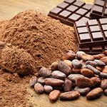 Cocoa Flavanols Fuel Heart and Brain Function