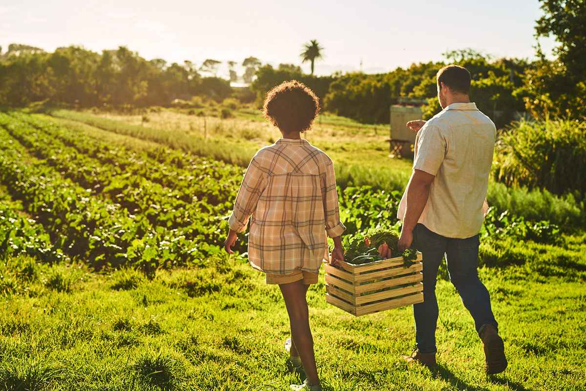 Benefits of Regenerative Agriculture