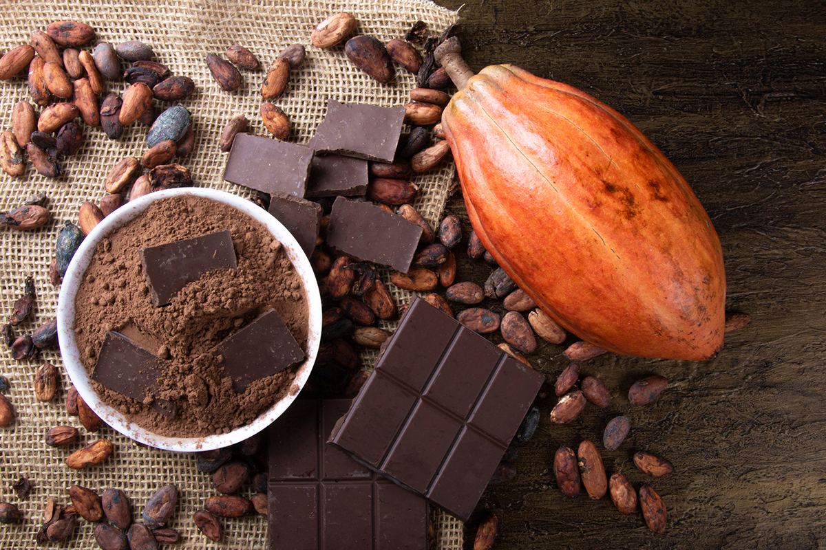 Leyla Weighs In The benefits of cocoa flavanols DR. RONALD HOFFMAN