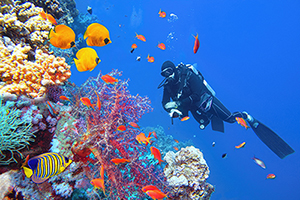 Scuba diver near beautiful coral reef surrounded with shoal of colorful coral fish and butterfly fish
