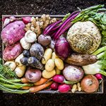 Top view of a large group of multicolored fresh organic roots, legumes and tubers shot on a rustic wooden crate surrounded by soil. The composition includes potatoes, Spanish onions, ginger, purple carrots, yucca, beetroot, garlic, peanuts, red potatoes, sweet potatoes, golden onions, turnips, parsnips, celeriac, fennels and radish.