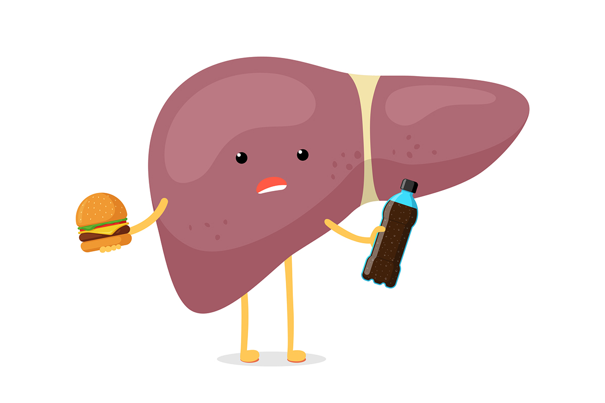 Illustration of an unhappy liver holding a cheeseburger in one hand a cola bottle in the other