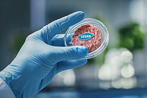 Close up Shot of a Lab-Grown Cultured Vegan Meat Sample Held by the Scientist in Blue Glove