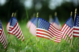 A group of small American flags planted in long grass