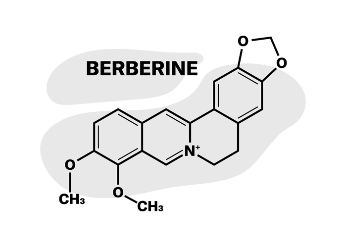 Chemical compound Berberine icon. Linear style. Vector icon.