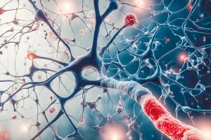 Microscopic of Neural network Brain cells