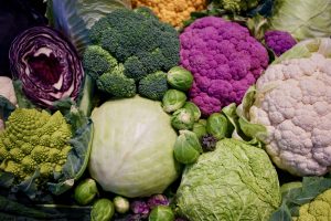 Close up of various brassica vegetables - cabbages, Brussels sprouts, broccoli, and cauliflower