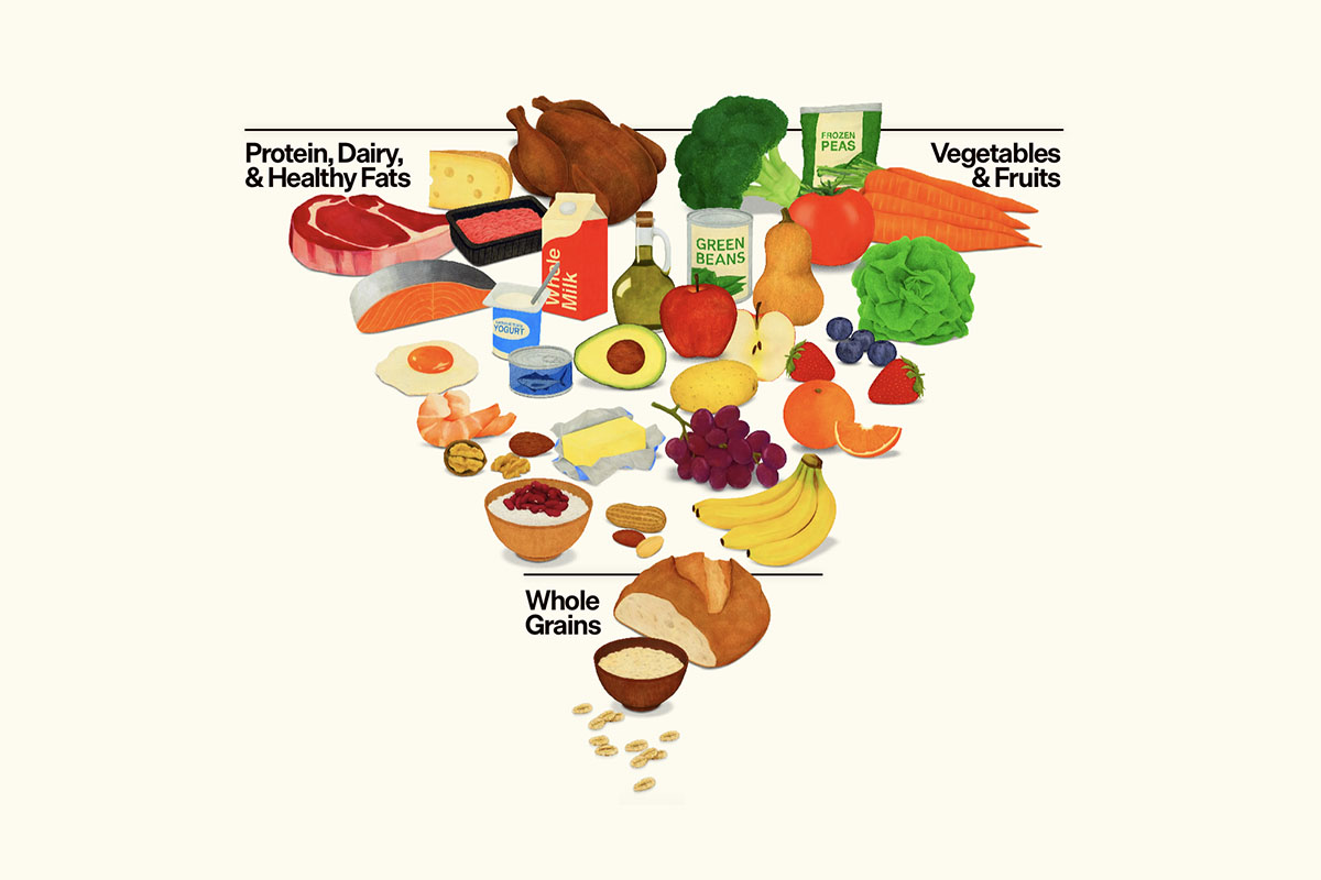 Illustration of new Dietary Guidelines inverted pyramid