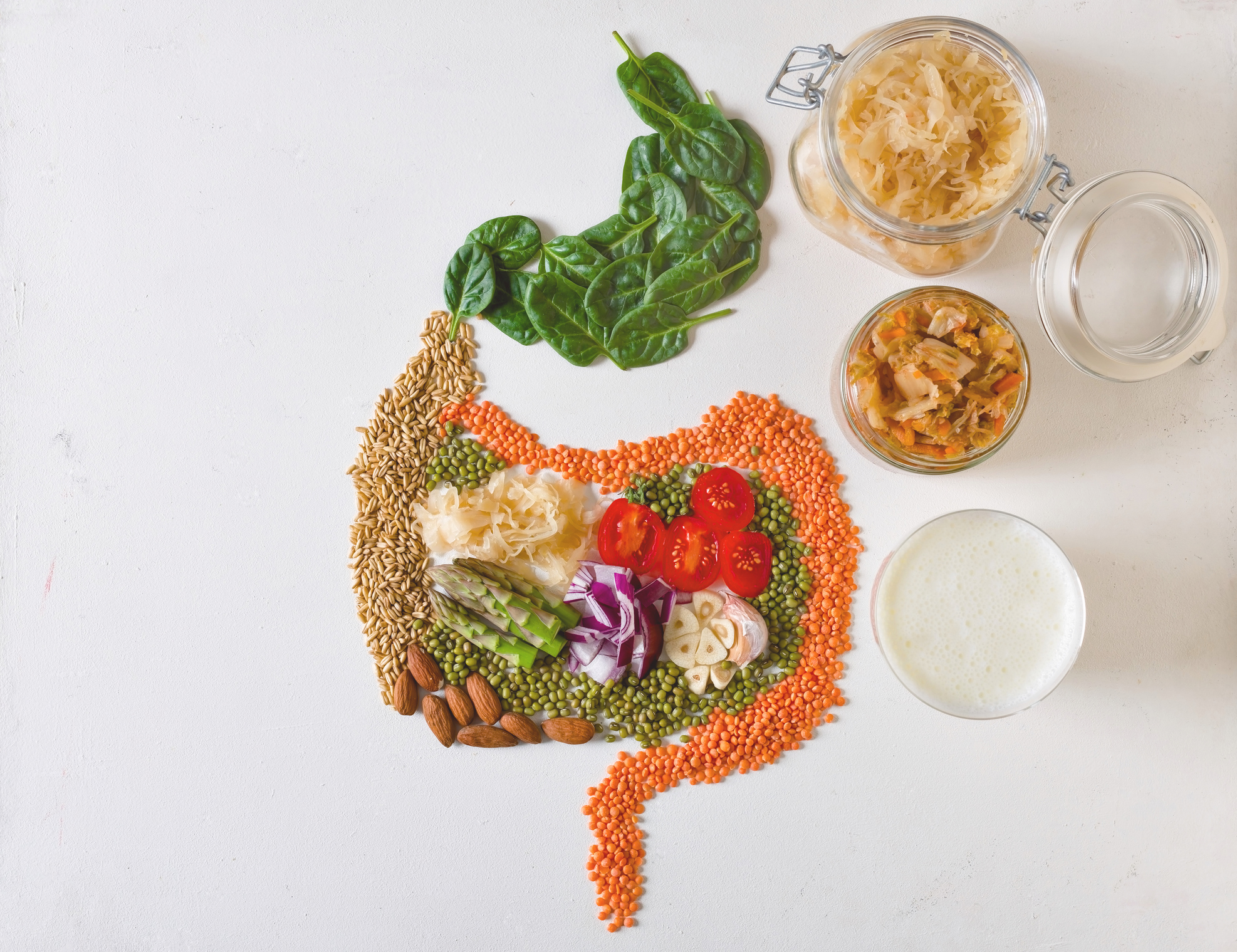 Overhead composition of gut shaped plant foods accompanied by kefir and jars of fermented vegetables. Neutral white background provides wide copy space, illustrating probiotic and prebiotic synergy for microbiome balance and digestive wellbeing.